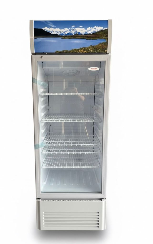 FREEZER Exhibidor AMERICAN 10 PIES NE-23